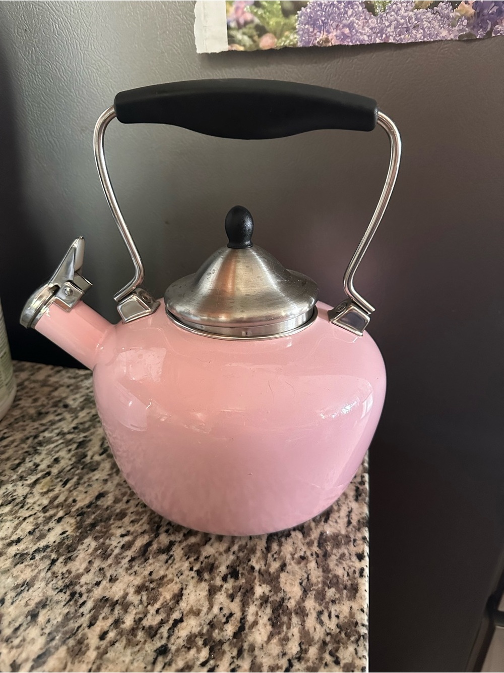 Pink Whistling Tea Kettle Black silver Handle